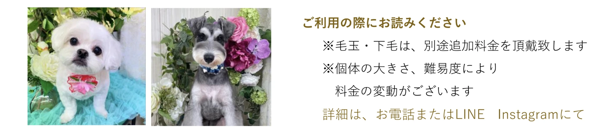 注意事項